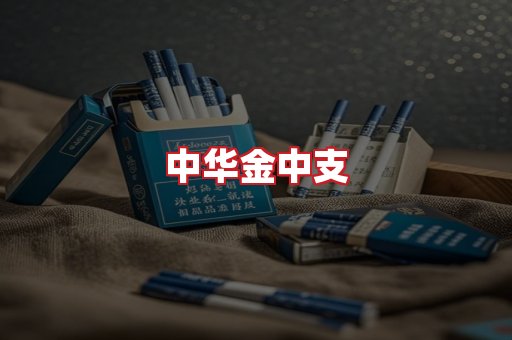 中华金中支